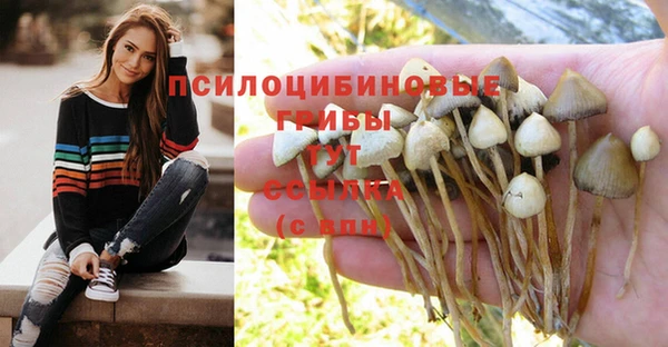 каннабис Липки